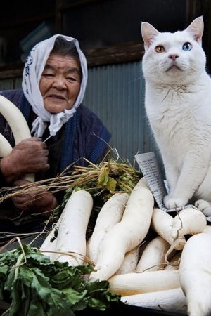 Mei - rencontre-Asiatique-Montpellier